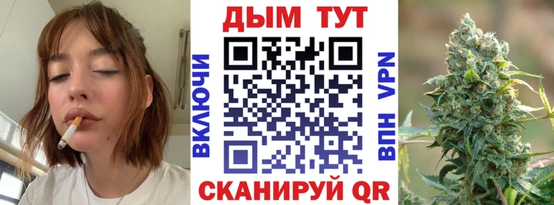 Купить закладки  Могоча  Марихуана сатива 